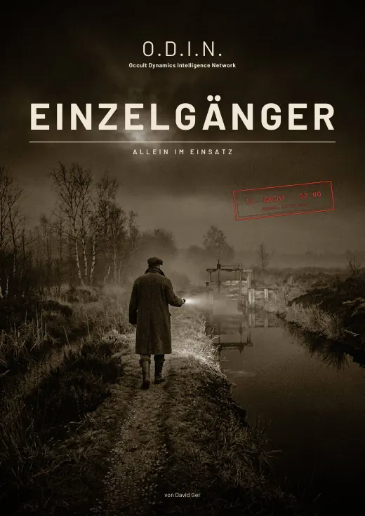 Cover: Einzelgänger: Allein im Einsatz